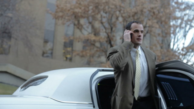 Businessmen in limousine 