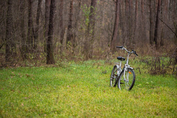 Fototapeta na wymiar Biking in the forest