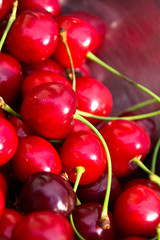 cherry