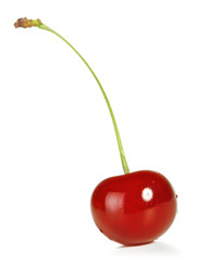 Fresh Cherry