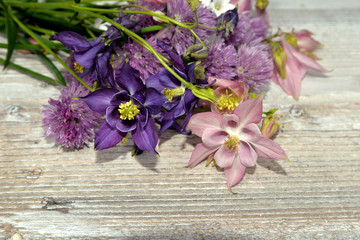 Blumen auf weißem Holzbrett