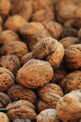 walnuts background