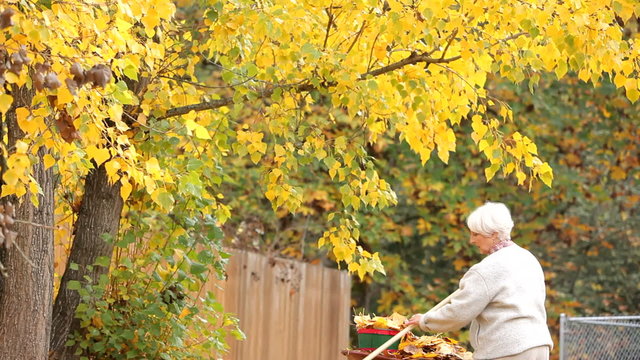 Senior woman raking fall leaves