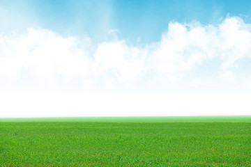 Obraz na płótnie Canvas Green grass field and blue sky