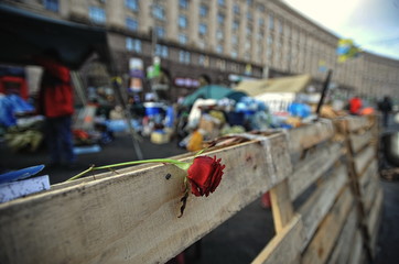 KYIV, UKRAINE - FEBRUARY 2014: Euromaidan. Revolution of Freedom