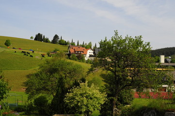 Typical Germany landscape
