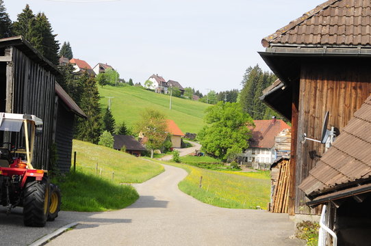 Typical Germany landscape