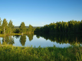 Landscape forest lake