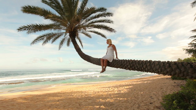 Woman sits on palm tree overlooking tropical beach