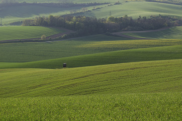 Fototapeta na wymiar Rural landscape