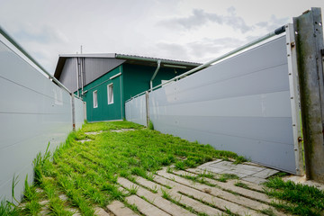 Schweinestall - aussen, Treibegang für Schweine 