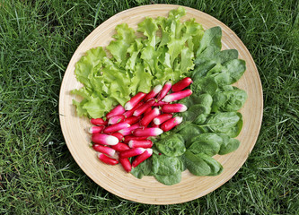 Plate with radish spinach salad 