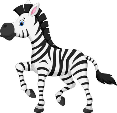 Cute zebra cartoon