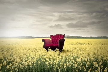 Crédence de cuisine en verre imprimé Campagne Chaise rouge dans un champ de fleurs jaunes