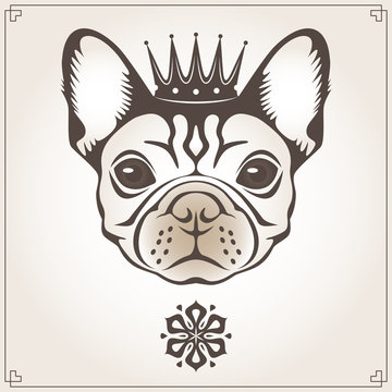 Vector illustration of the dog