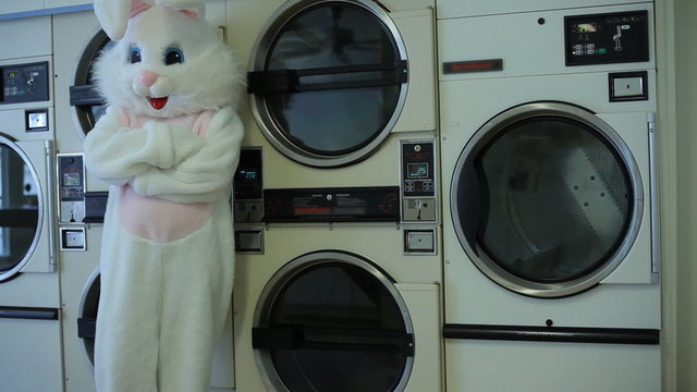 Easter bunny waiting for laundry