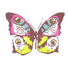 butterflies design
