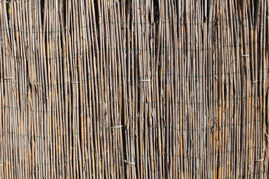 A wooden background with vertical reeds