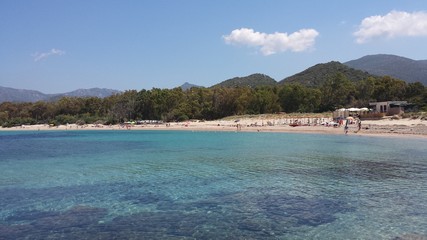 Beach and blue sea colorful Sardinia