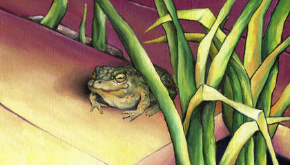  Frog, basking in the sun. Cute frog sitting in the rushes. Oil on canvas. © marvalens