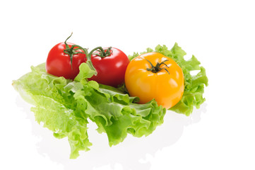 red tomato and  green salad