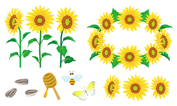 Sunflower Decoration set