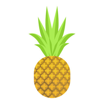 Isolated vector illustration pineapple fruit on white background