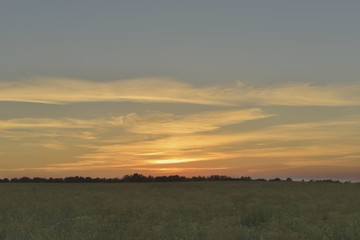 Закат в поле