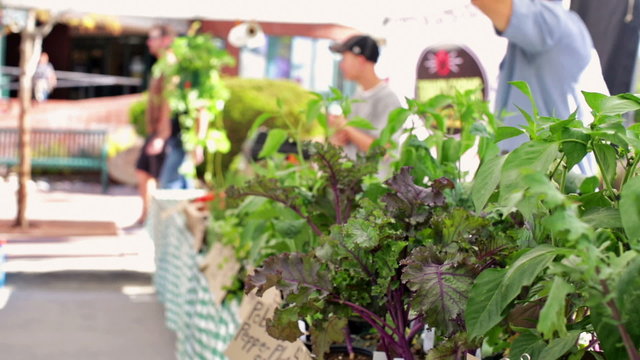 Summer farmers market on Main Street in Parker, Colorado.