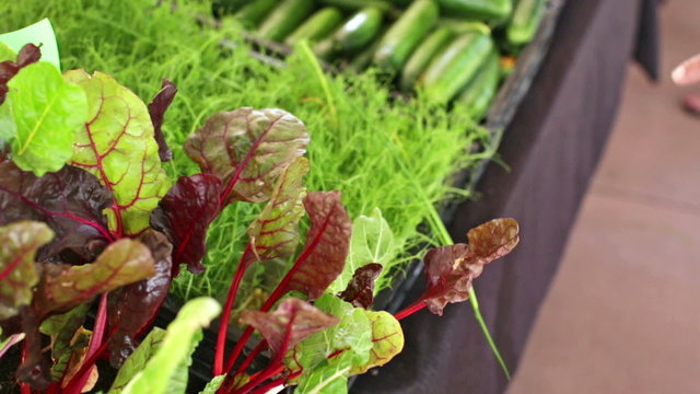 Summer farmers market on Main Street in Parker, Colorado.