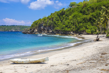 Fototapeta na wymiar Tropical coastline of Nusa Penida island.