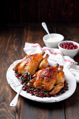 Roasted chicken with wild rice, cilantro and pomegranate garnish, selective focus