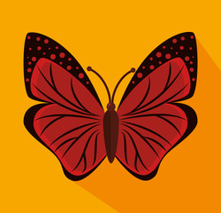 Butterfly design.