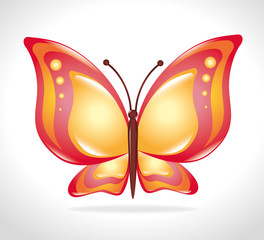 Butterfly design.