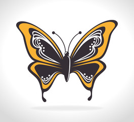 Butterfly design.