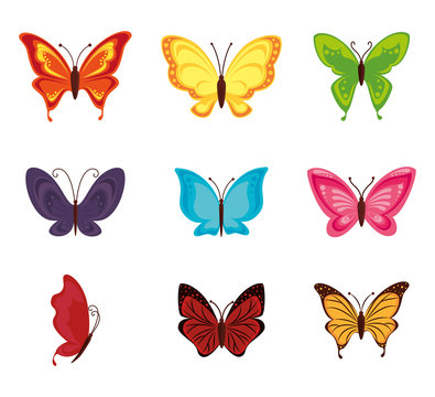 Butterfly Cartoon Images – Browse 144,453 Stock Photos, Vectors, and Video  | Adobe Stock