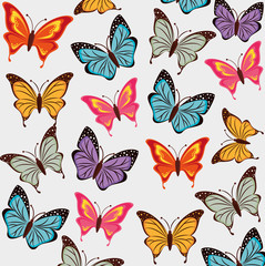 Butterfly design.