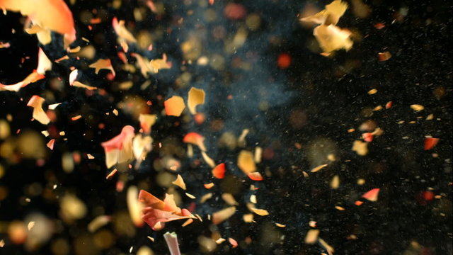 Flower frozen in liquid nitrogen explodes in slow motion