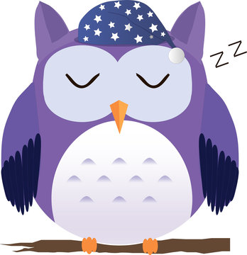 Sleeping cute vector purple owl in the nightcap