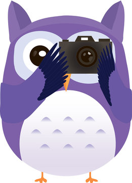 Cute vector purple owl makes photo with camera