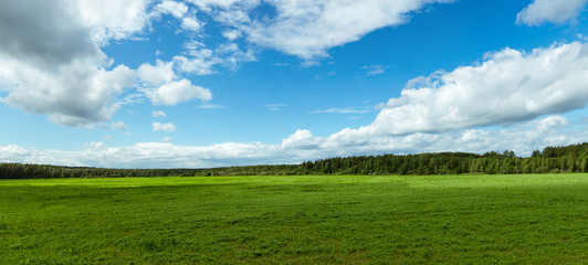 Fototapeta na wymiar панорама сельскохозяйственного поля летом в солнечный день