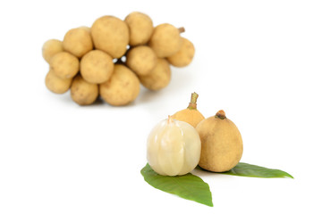 Fresh Longkong ,Langsat or Lanzones fruit is endemic to Southeas