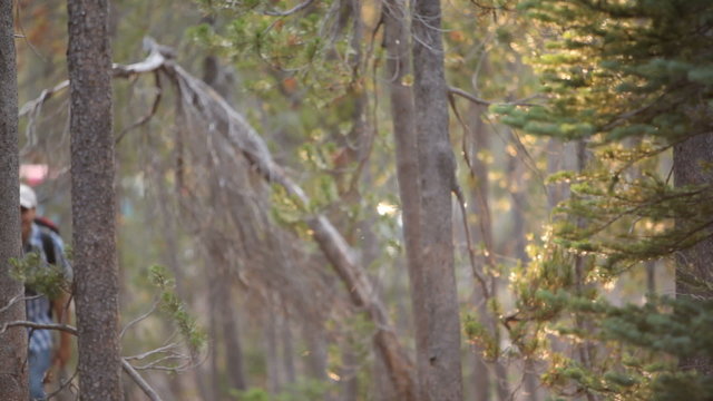 Couple backpacking together through woods