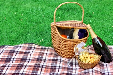 Summer Picnic With Wine On The Lawn Concept