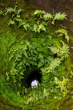 Old stone well walls covered with green plants