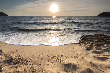 Summer beach at sunset