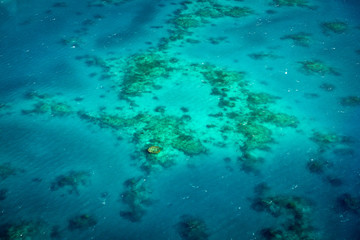 Fototapeta na wymiar Barrière de corail