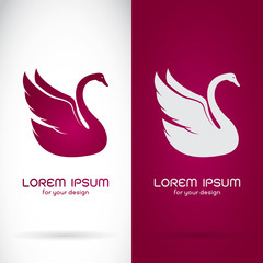 Fototapeta premium Vector image of an swan design on white background and purple ba