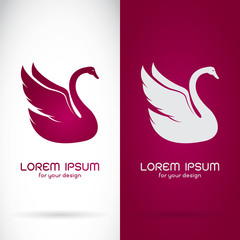 Naklejka premium Vector image of an swan design on white background and purple ba