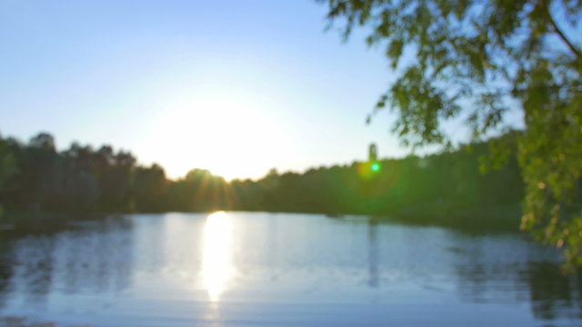 3 in 1 video! The man take cup and drink coffee or tea by sun, tree and lake